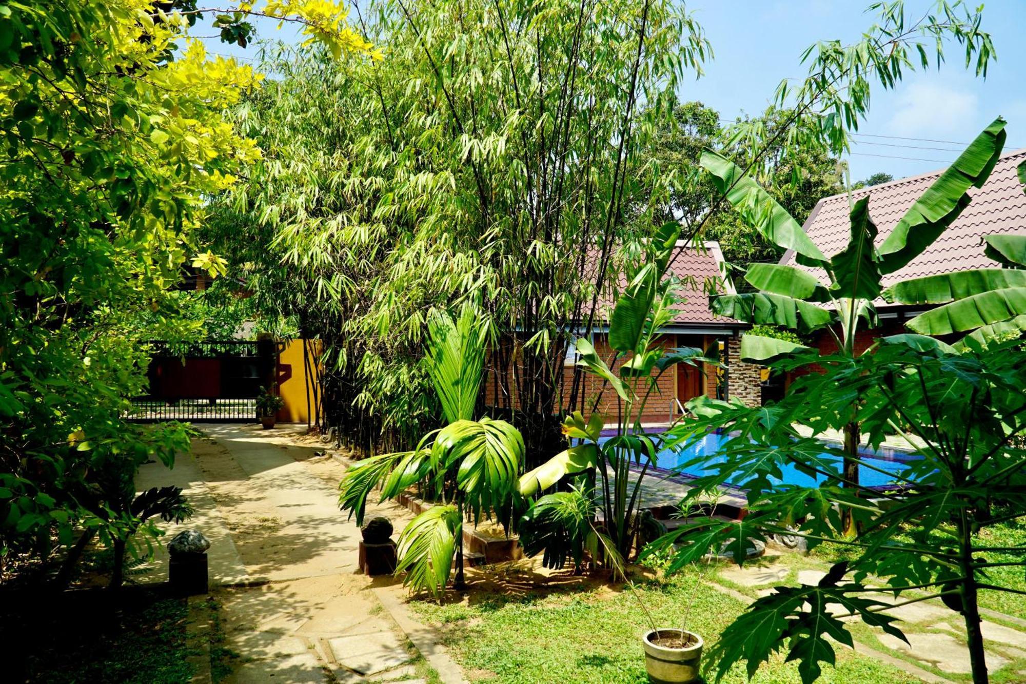Millet'S Food Company And Cooking Center Hotel Negombo Ngoại thất bức ảnh