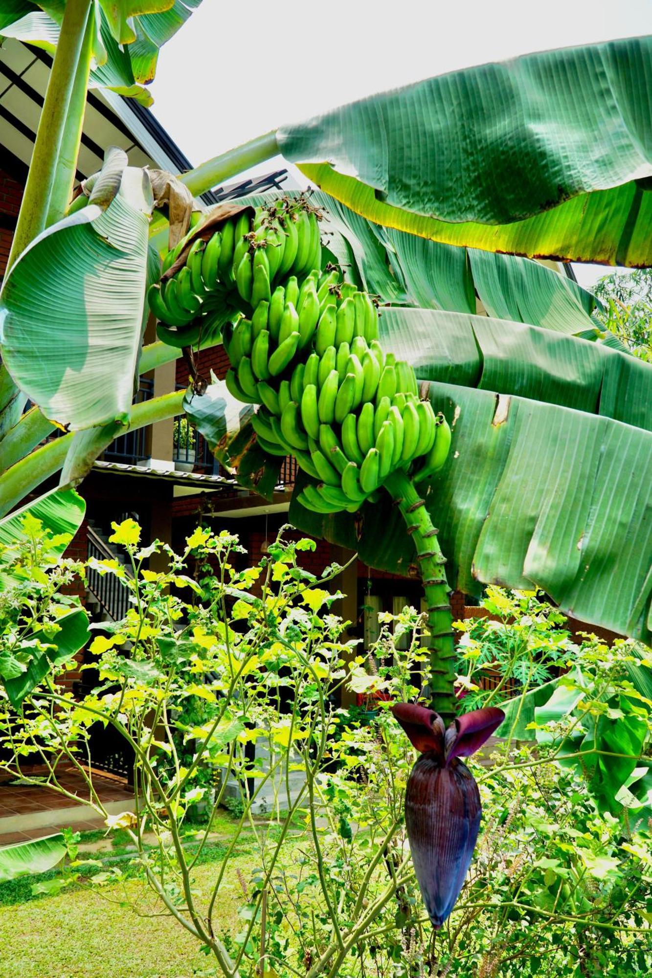 Millet'S Food Company And Cooking Center Hotel Negombo Ngoại thất bức ảnh