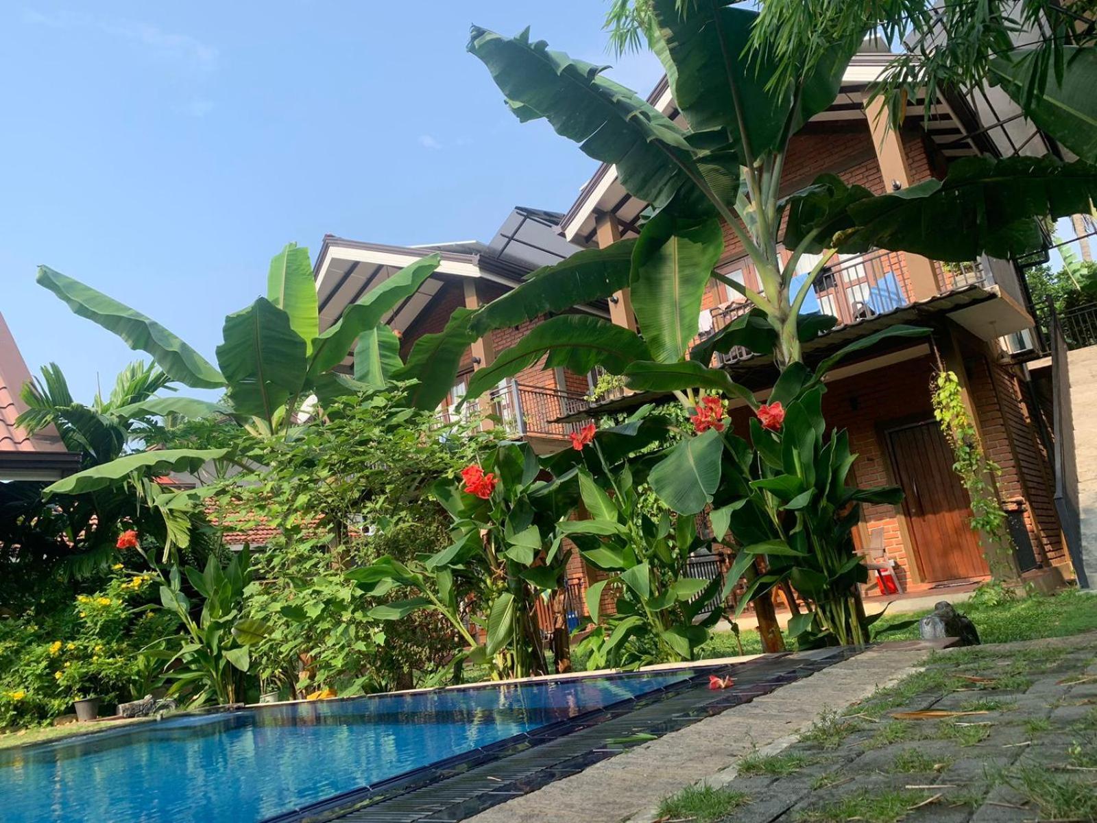 Millet'S Food Company And Cooking Center Hotel Negombo Ngoại thất bức ảnh